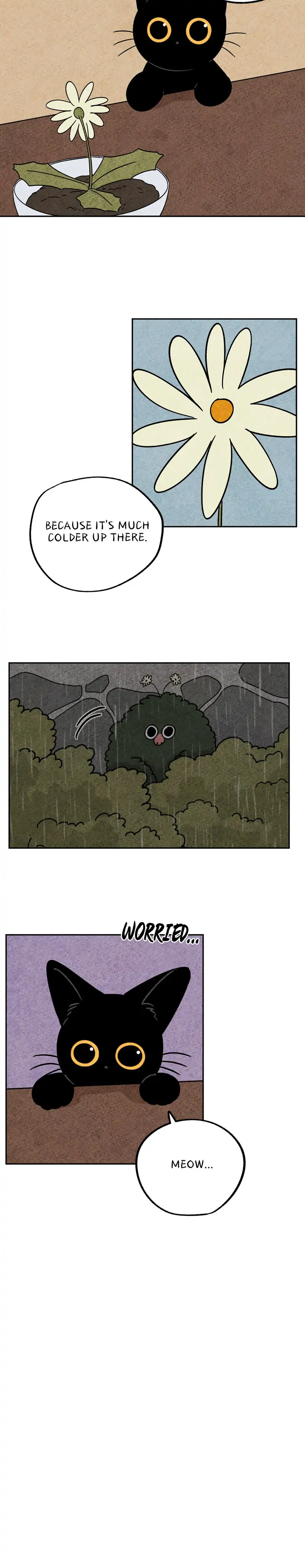 The Tale Of Goldiluck, The Black Kitten chapter 46 - page 3