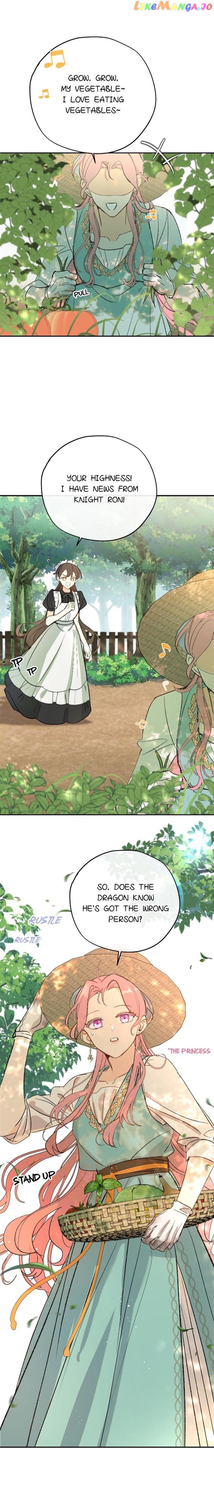 The Priest Dreaming of a Dragon Chapter 13 - page 1