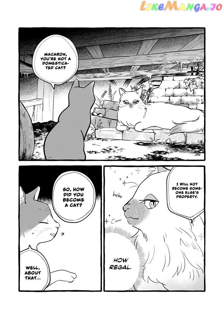 Re-Employment Life With An Unsociable Untalkative Magician Chapter 11 - page 3