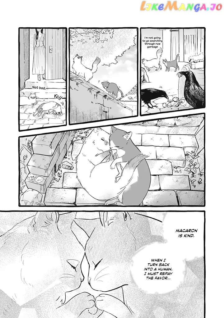 Re-Employment Life With An Unsociable Untalkative Magician Chapter 11 - page 8