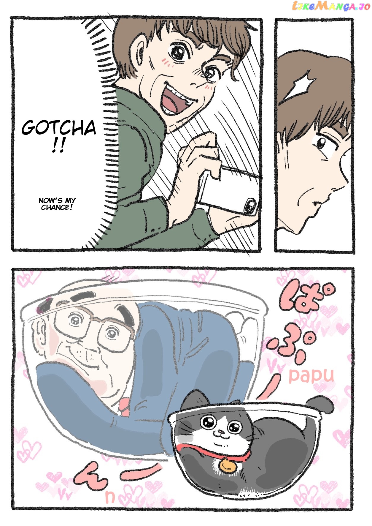 The Old Man Who Was Reincarnated As A Cat Chapter 245 - page 2