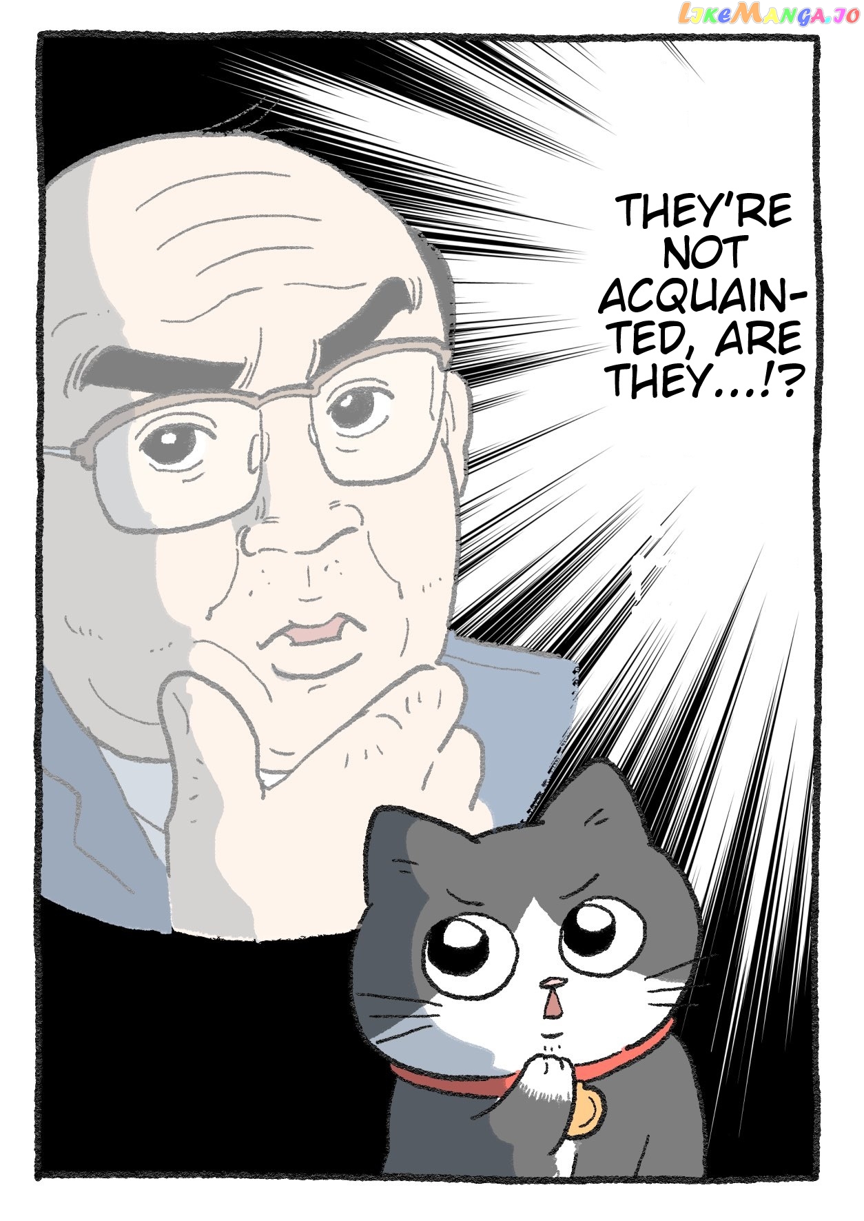 The Old Man Who Was Reincarnated As A Cat Chapter 251 - page 3