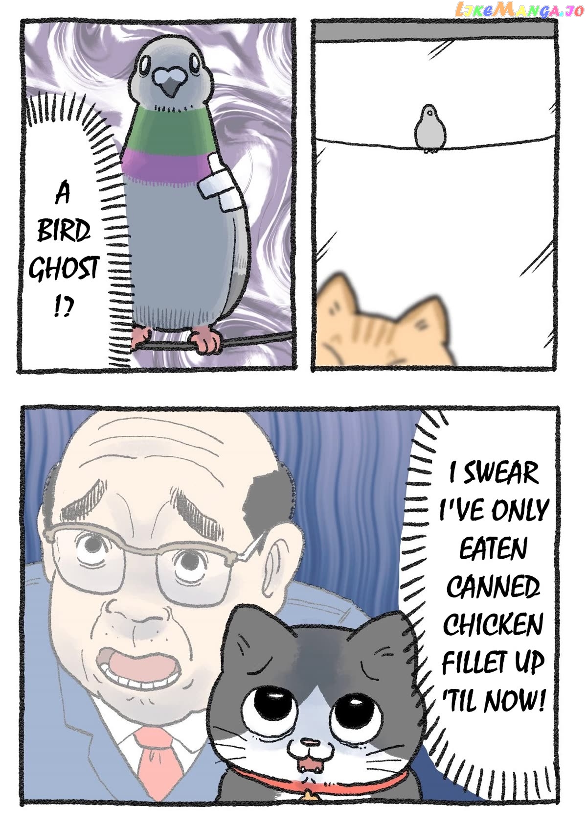 The Old Man Who Was Reincarnated As A Cat Chapter 253 - page 2