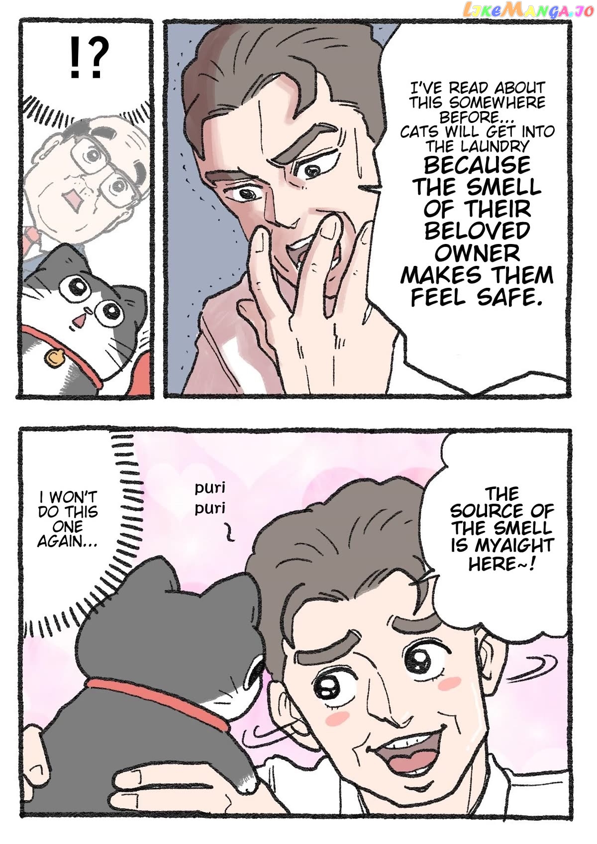 The Old Man Who Was Reincarnated As A Cat Chapter 293 - page 2