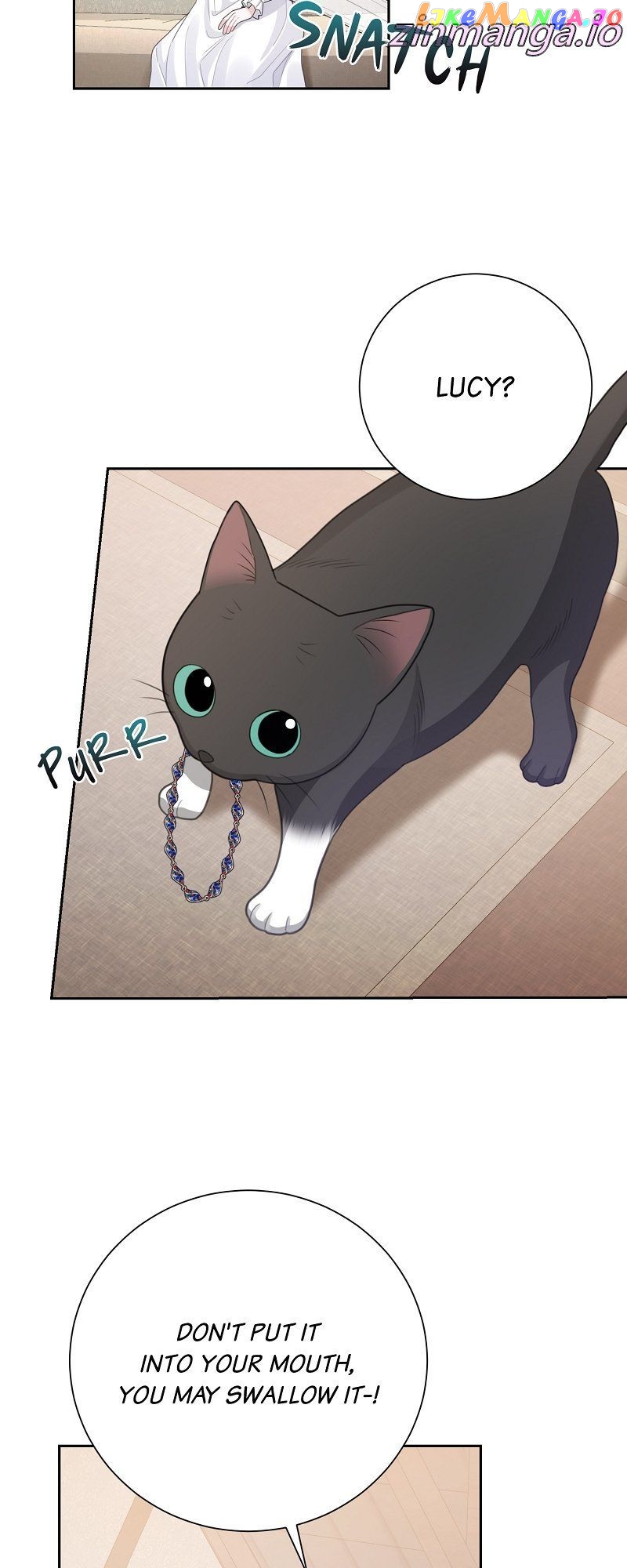 When Cinderella's Magic Fades Away Chapter 13 - page 46