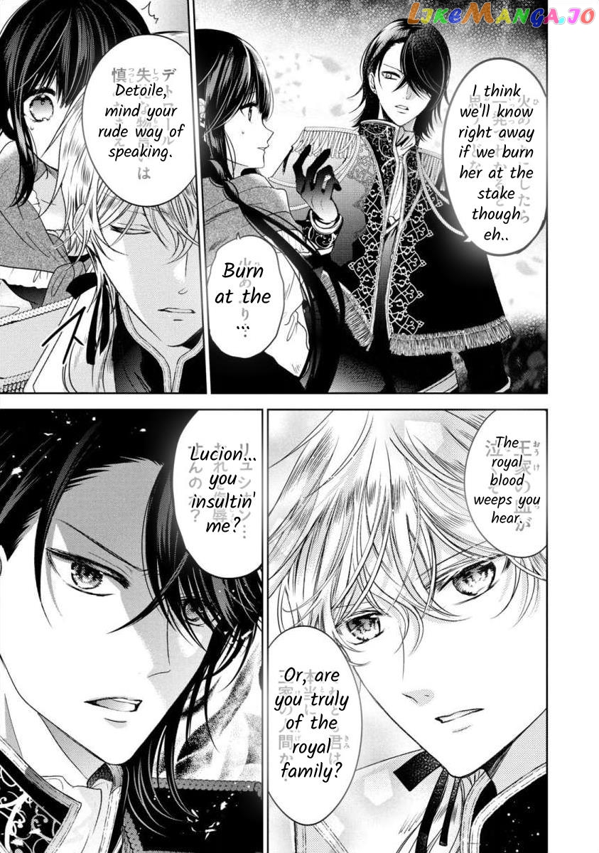 Majo Maid Wa Joou No Himitsu O Shitte Iru chapter 1 - page 25