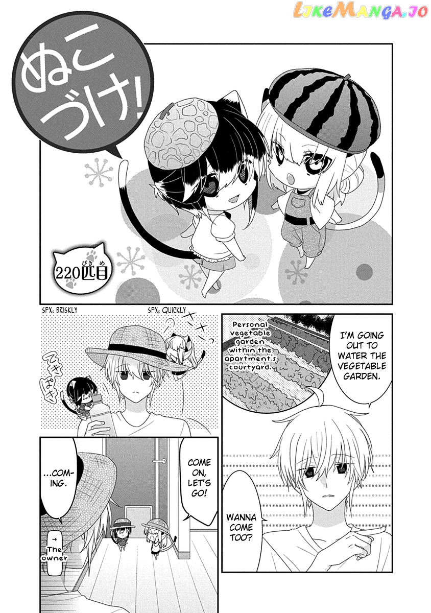 Nukoduke! - Manga chapter 220 - page 2