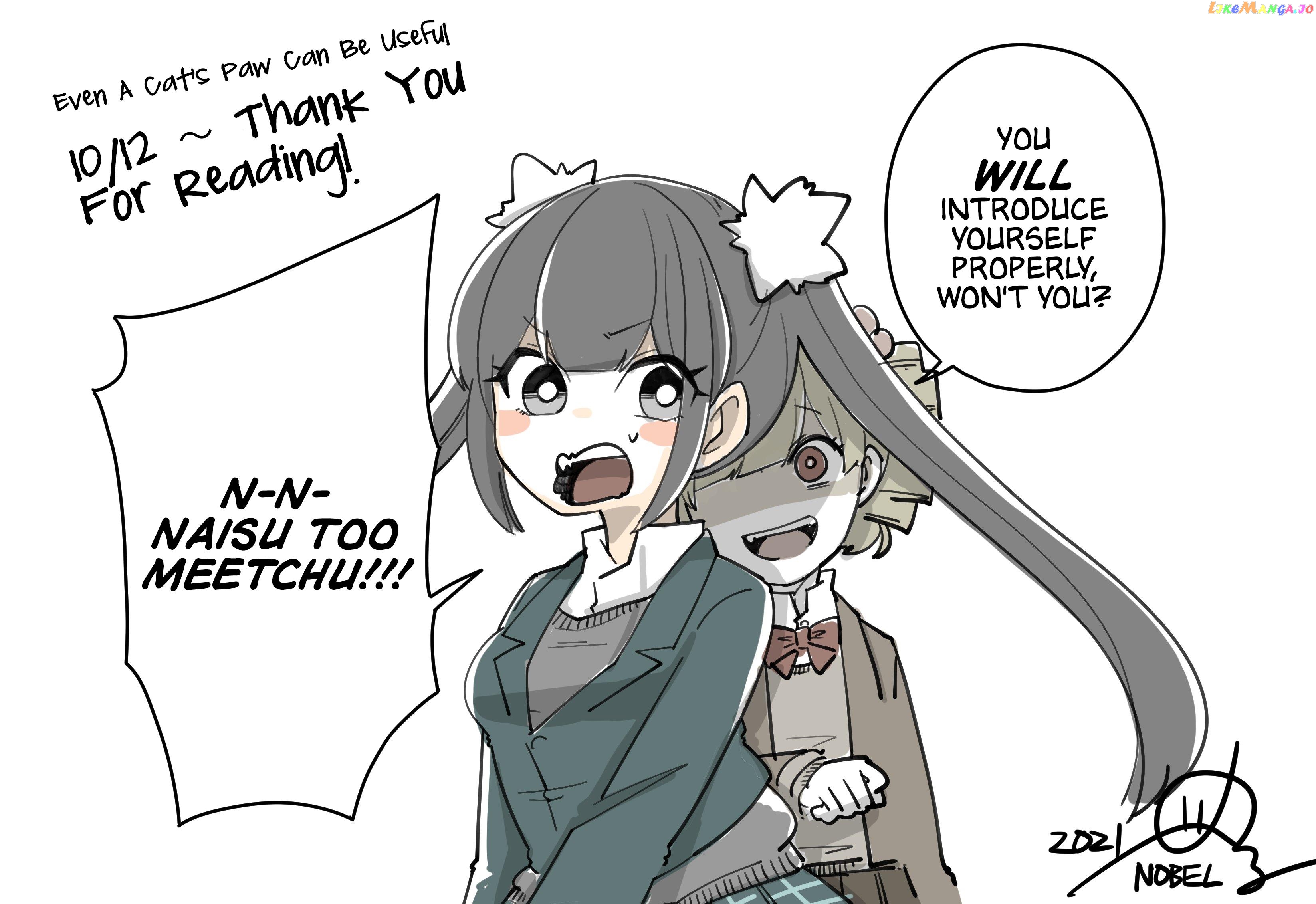 Neko No Te Datte Yaku Ni Tatsu chapter 13 - page 2