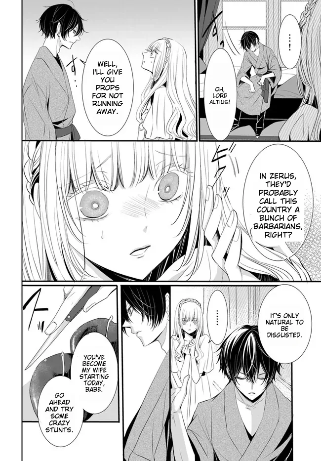 Kokurou Ou to Shirogane no Niehime Chapter 2 - page 11