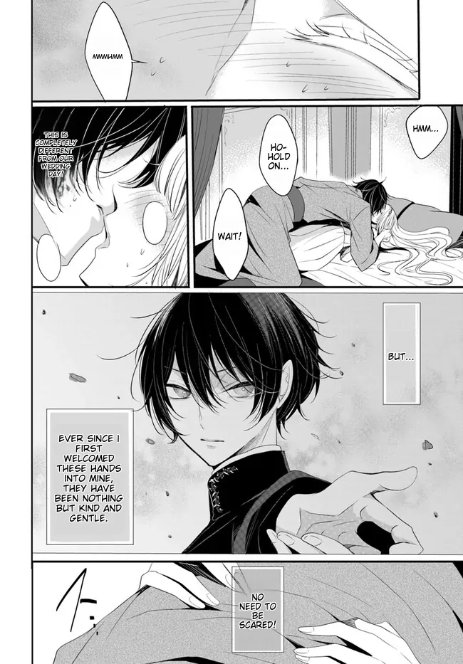 Kokurou Ou to Shirogane no Niehime Chapter 2 - page 17