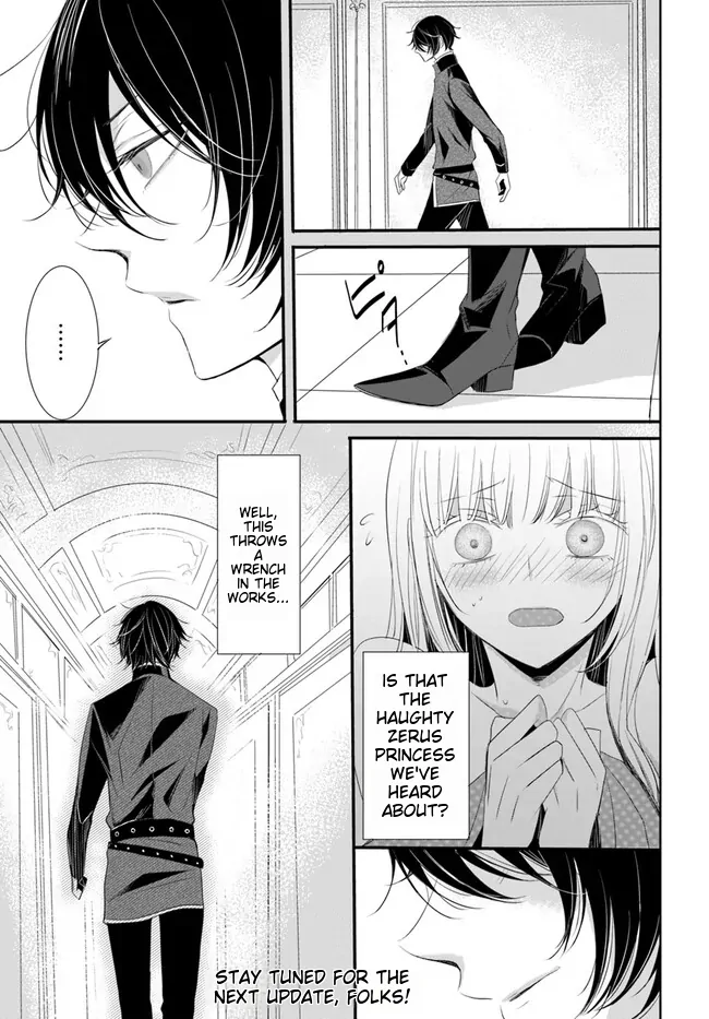 Kokurou Ou to Shirogane no Niehime Chapter 2 - page 22