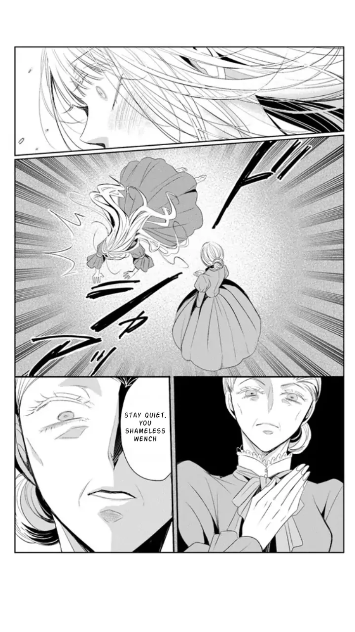 Kokurou Ou to Shirogane no Niehime Chapter 3 - page 14