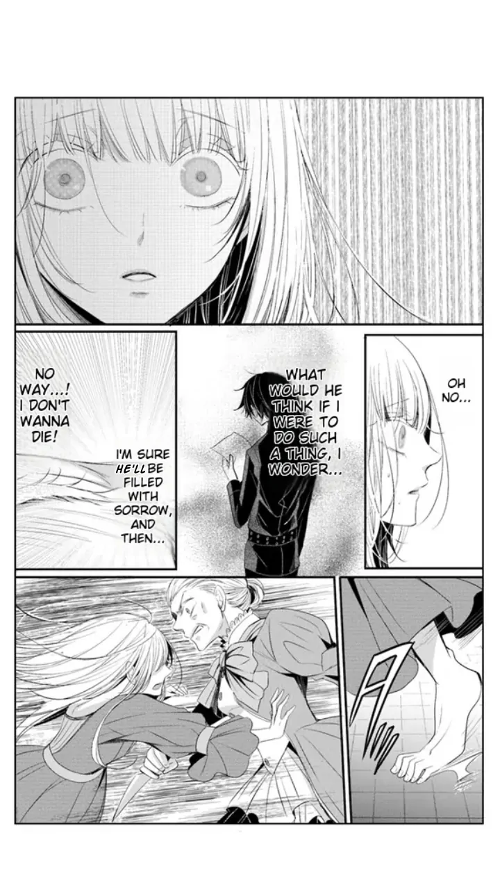 Kokurou Ou to Shirogane no Niehime Chapter 3 - page 19