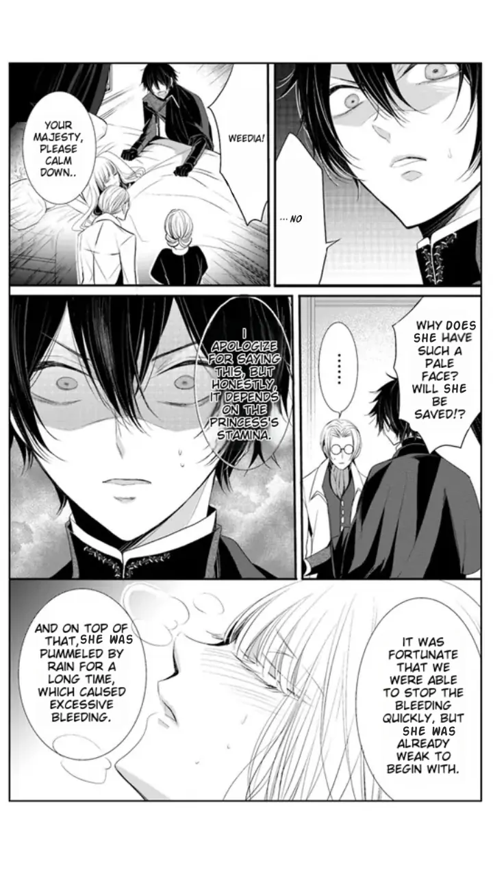 Kokurou Ou to Shirogane no Niehime Chapter 3 - page 24