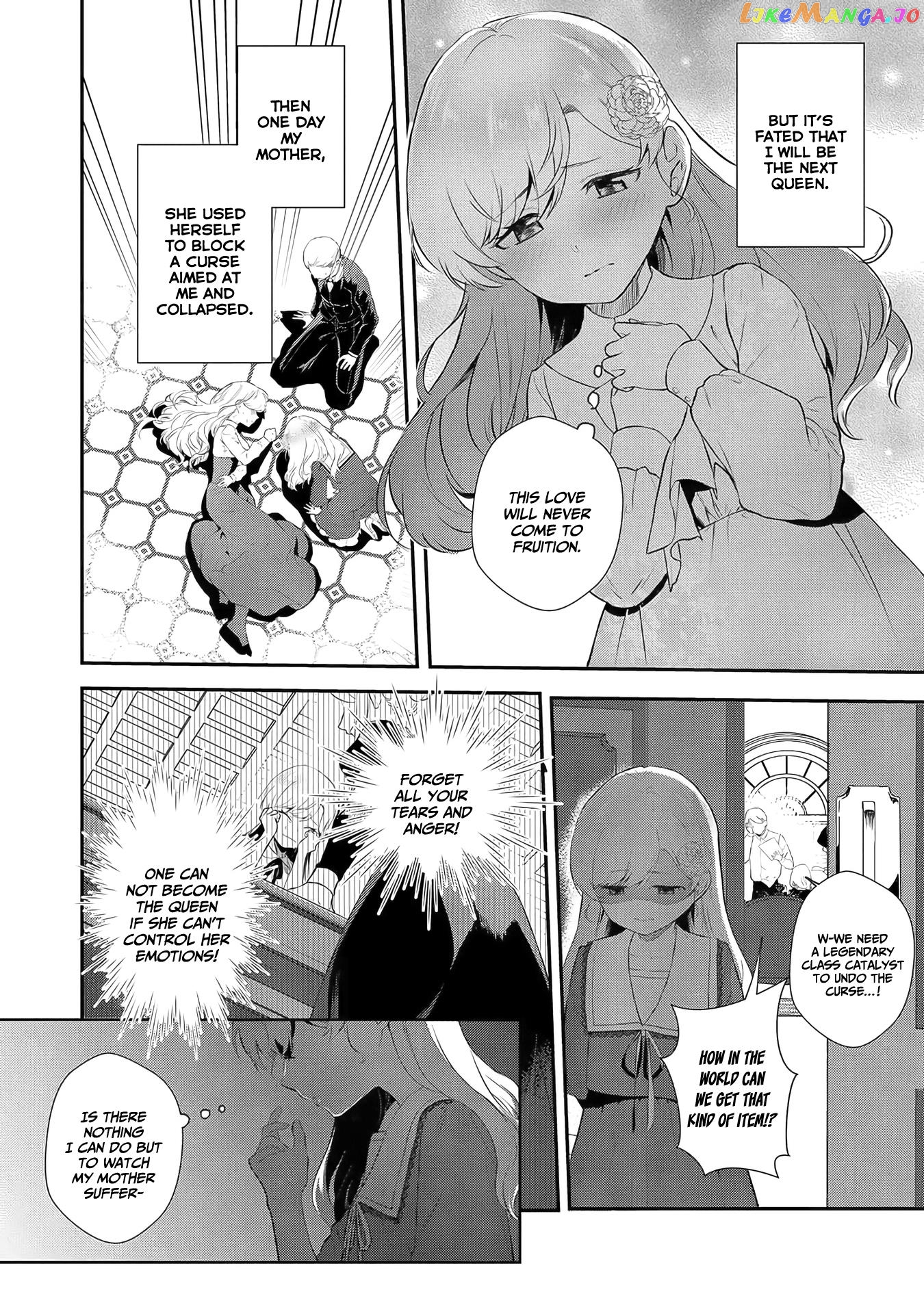 Akuyaku Reijou Desu Ga, Watashi O Anata No Seidorei Ni Shite Kudasai! chapter 2 - page 3