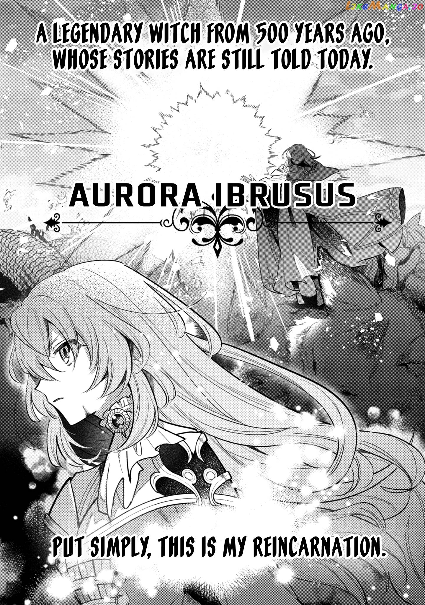 I Reincarnated As A Faint Hearted Countess chapter 2 - page 3