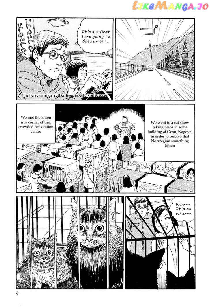 Itou Junji no Neko Nikki: Yon & Mu chapter 1 - page 13