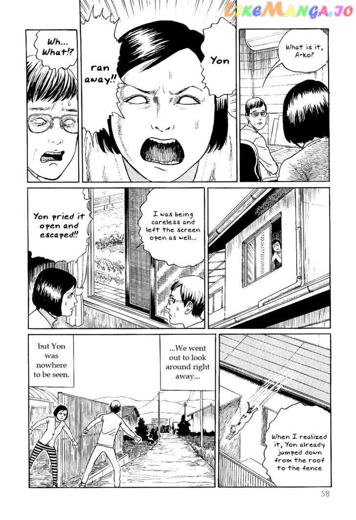 Itou Junji no Neko Nikki: Yon & Mu chapter 6 - page 2