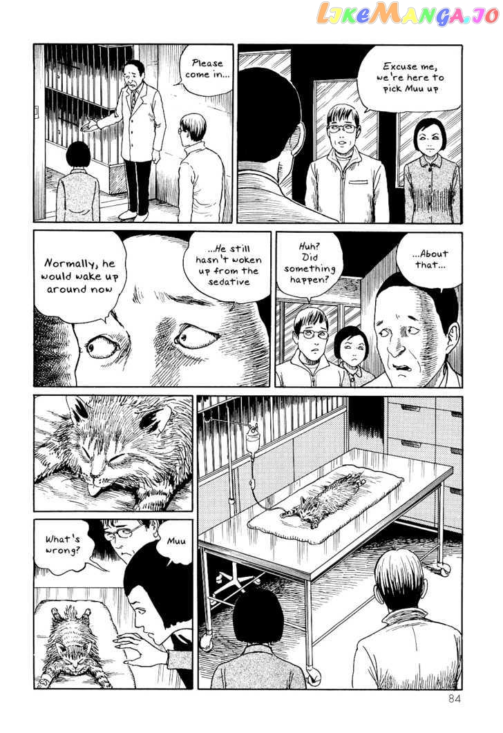 Itou Junji no Neko Nikki: Yon & Mu chapter 8 - page 6