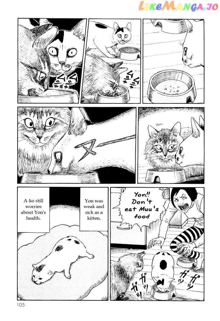 Itou Junji no Neko Nikki: Yon & Mu chapter 10 - page 5