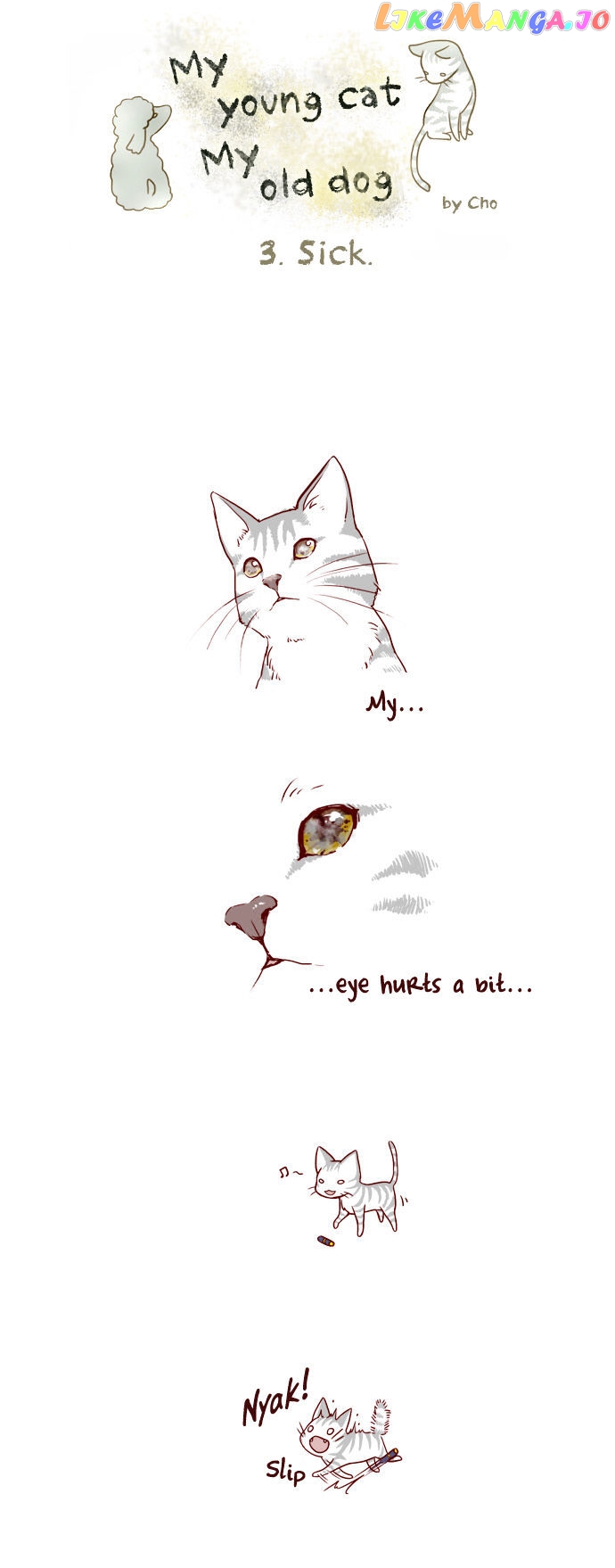 My Young Cat And My Old Dog chapter 3 - page 2