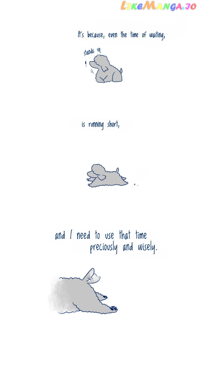 My Young Cat And My Old Dog chapter 6 - page 3