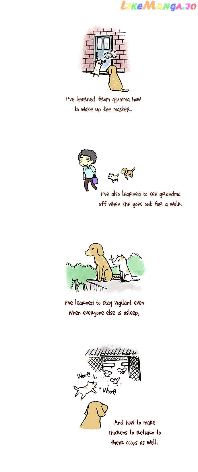 My Young Cat And My Old Dog chapter 12 - page 2