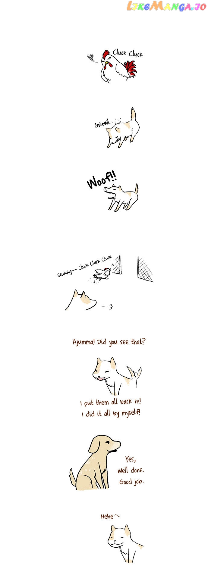 My Young Cat And My Old Dog chapter 12 - page 3