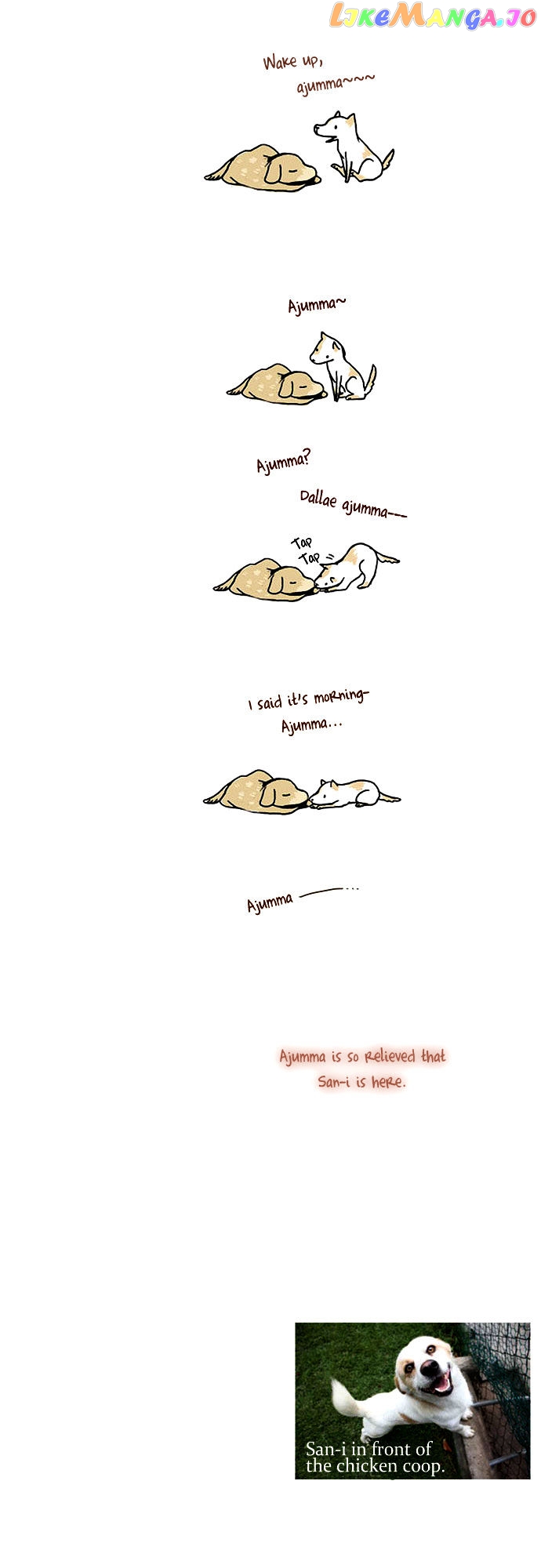 My Young Cat And My Old Dog chapter 12 - page 5
