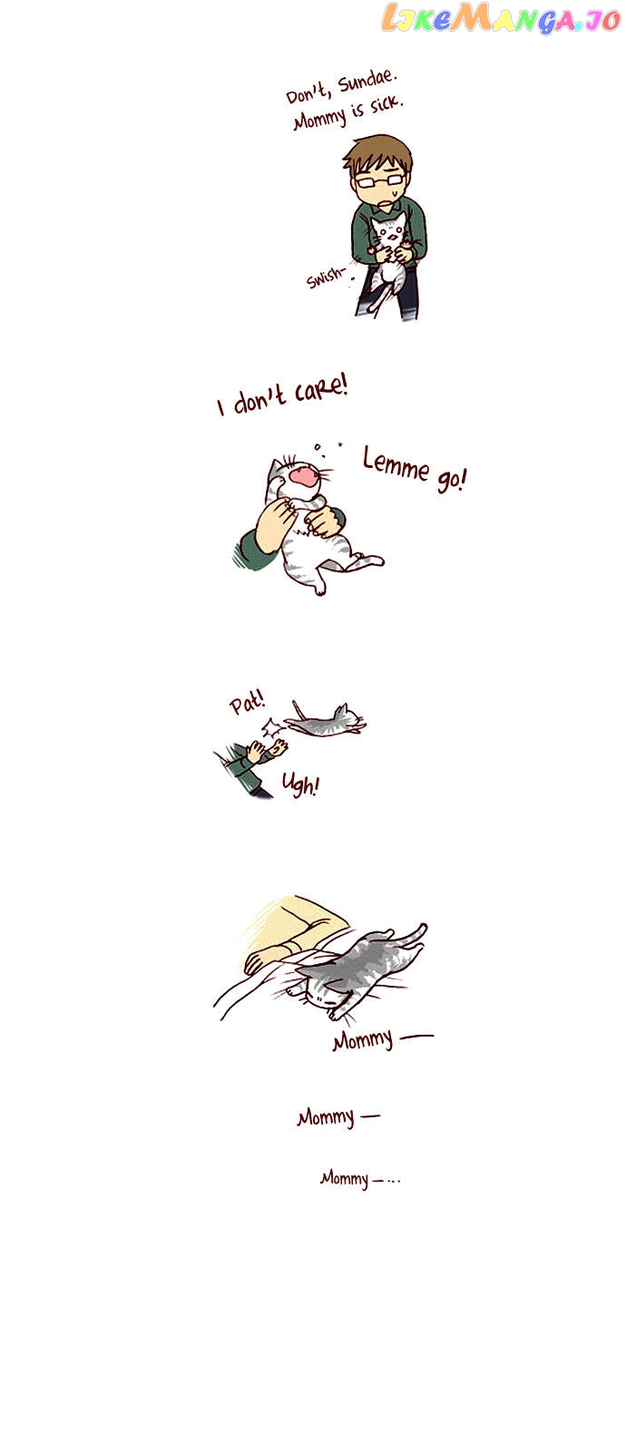 My Young Cat And My Old Dog chapter 16 - page 2