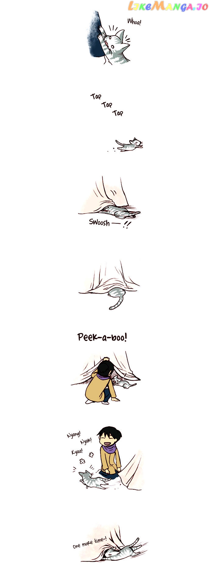 My Young Cat And My Old Dog chapter 22 - page 2