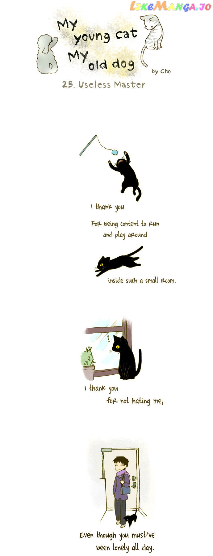 My Young Cat And My Old Dog chapter 25 - page 1