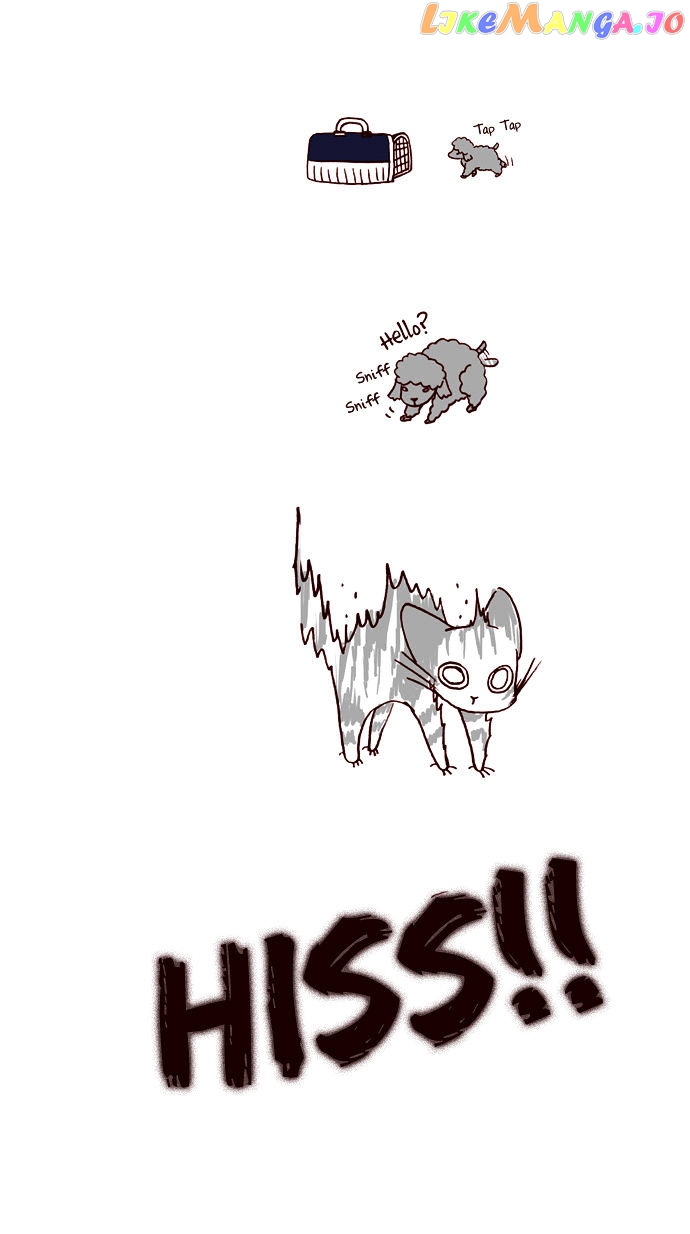 My Young Cat And My Old Dog chapter 28 - page 3