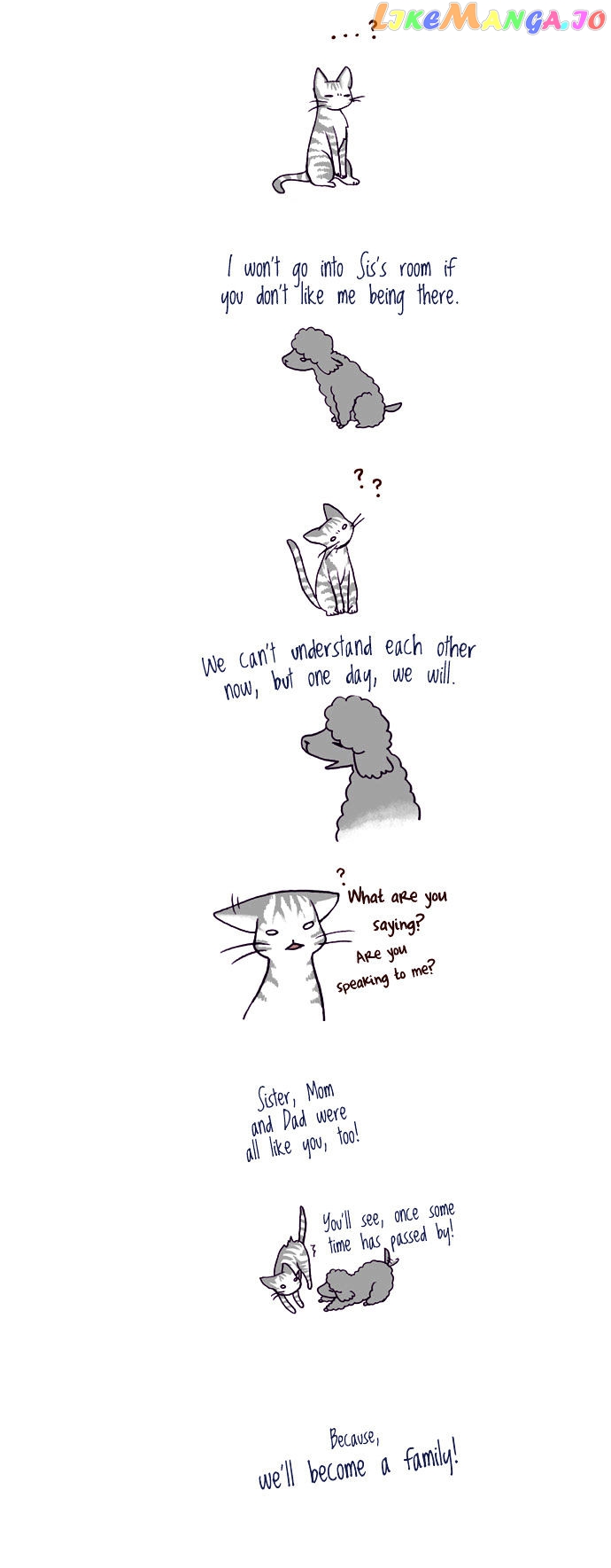 My Young Cat And My Old Dog chapter 29 - page 2
