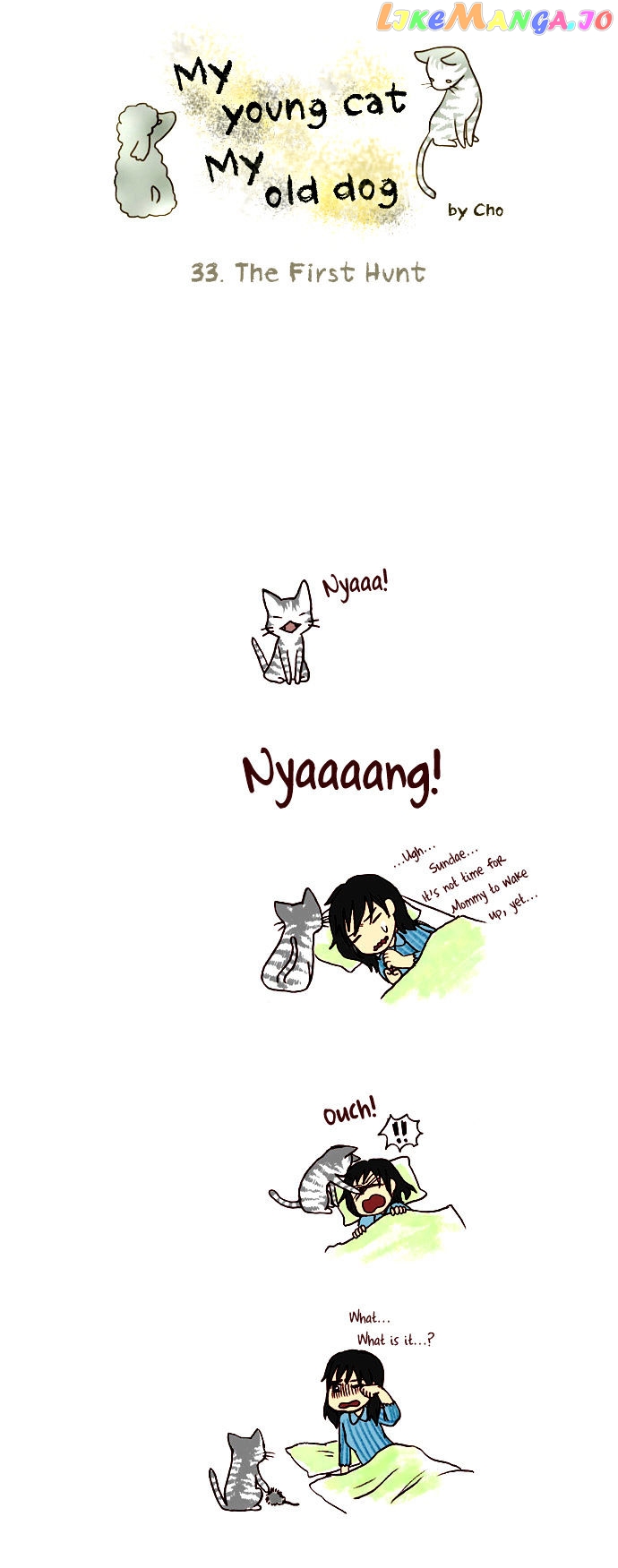 My Young Cat And My Old Dog chapter 33 - page 1