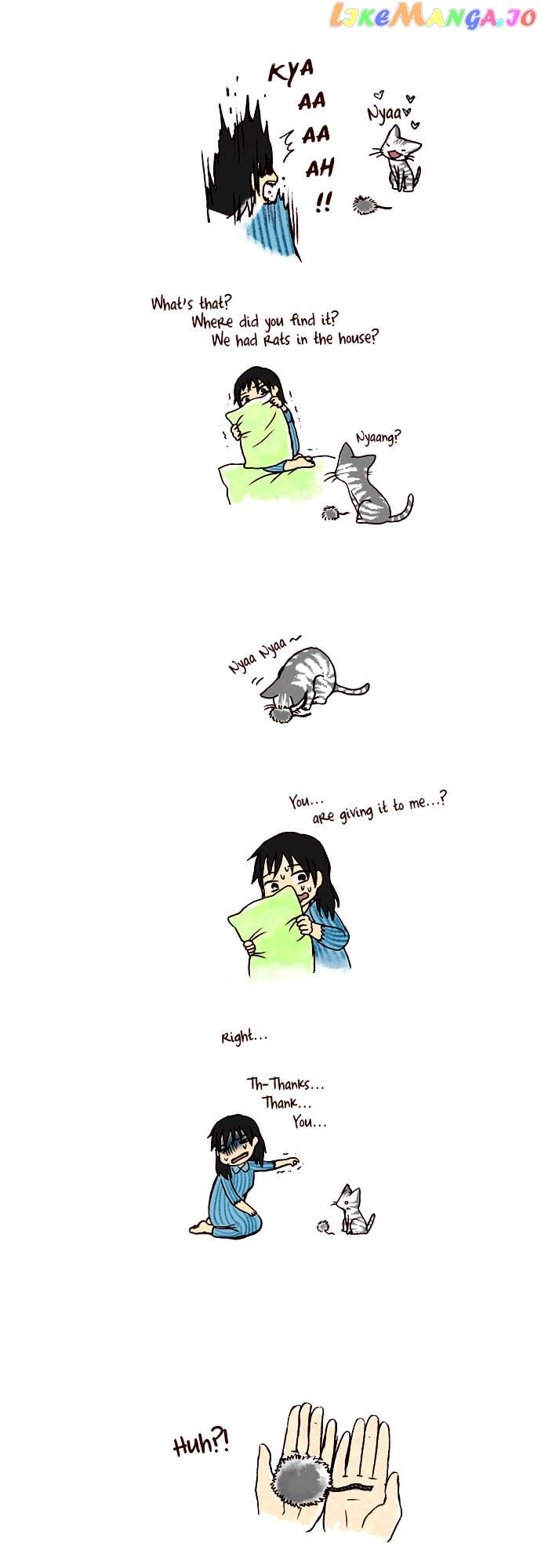 My Young Cat And My Old Dog chapter 33 - page 2