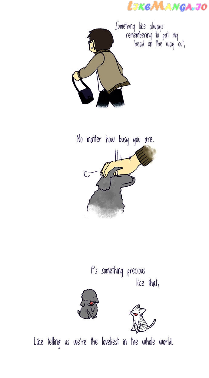 My Young Cat And My Old Dog chapter 34 - page 3