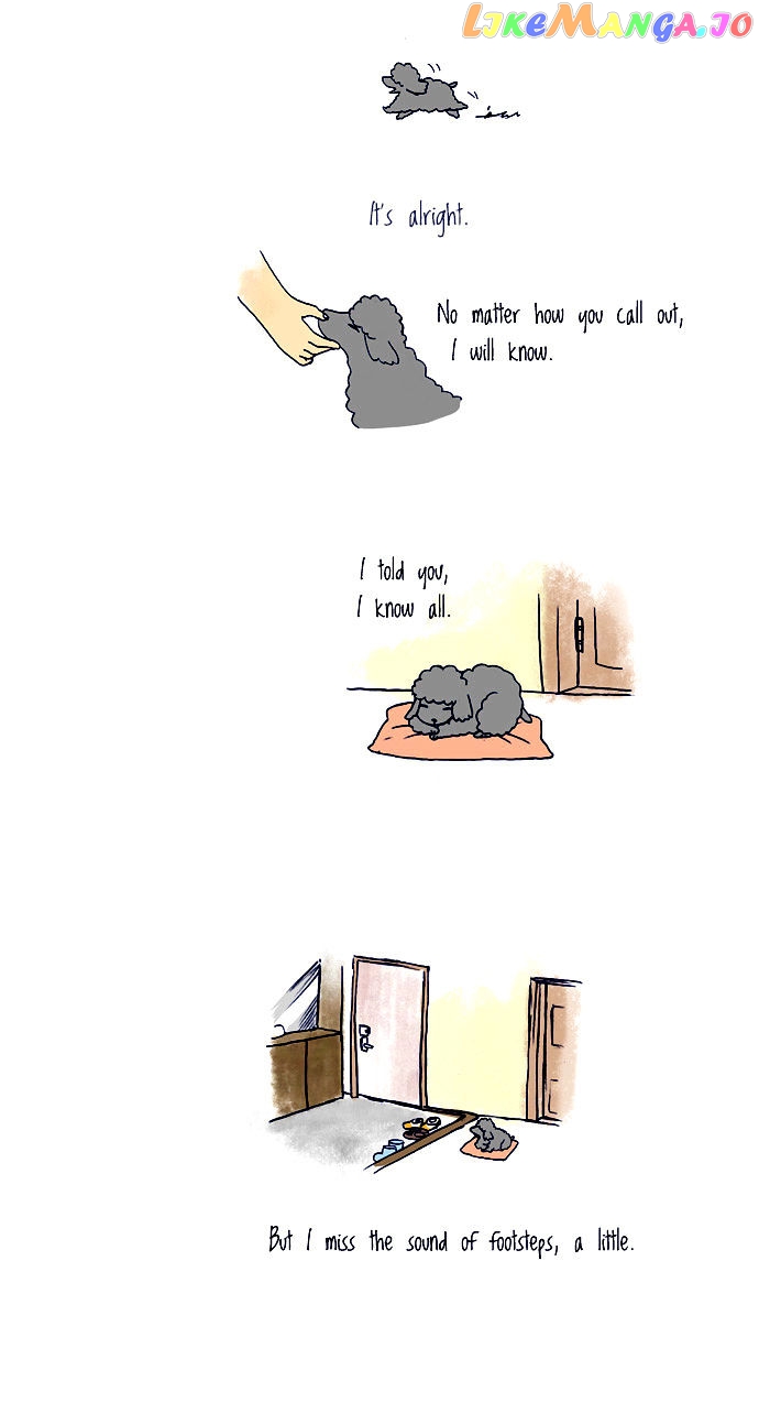My Young Cat And My Old Dog chapter 38 - page 3
