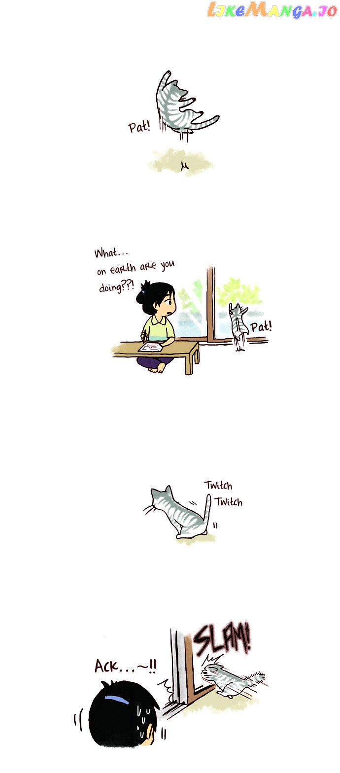 My Young Cat And My Old Dog chapter 39 - page 2