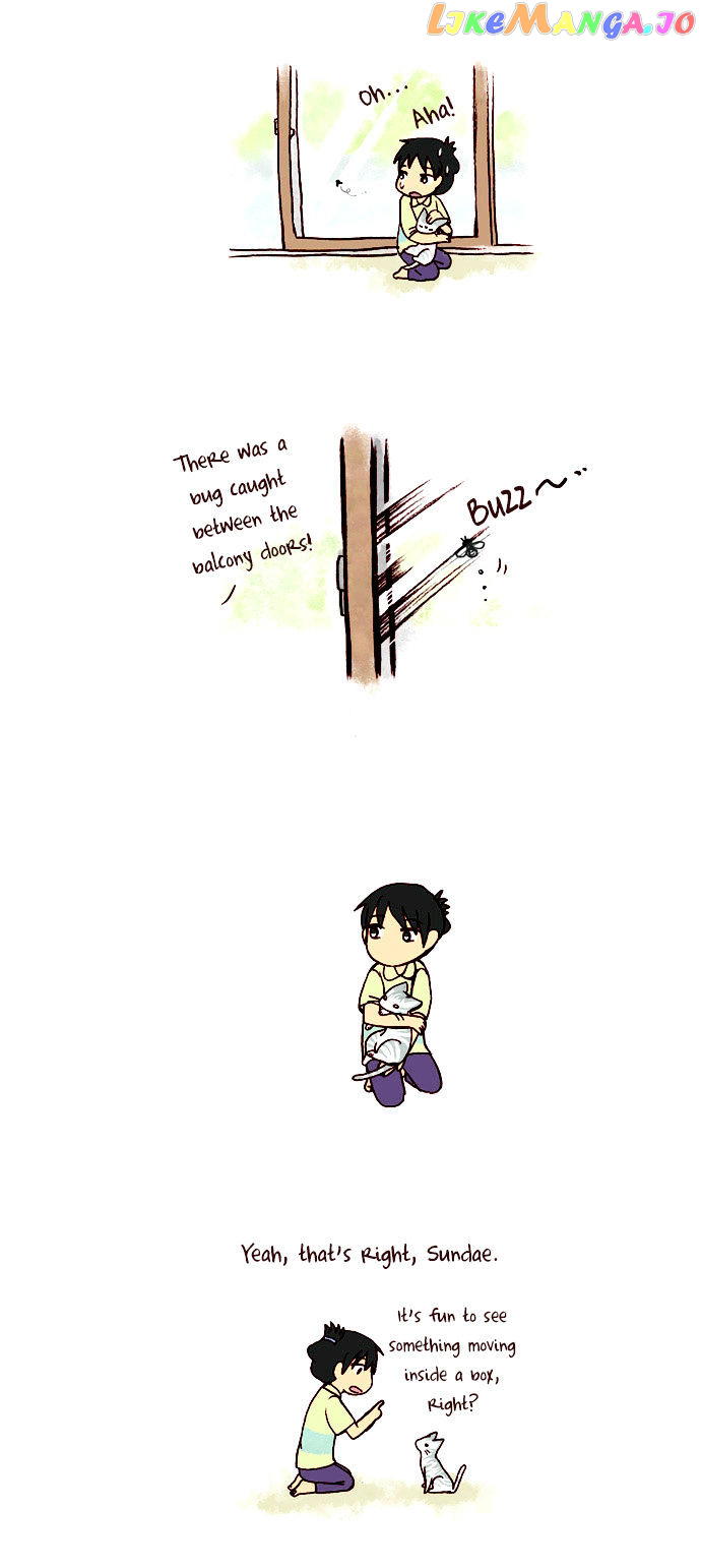 My Young Cat And My Old Dog chapter 39 - page 3