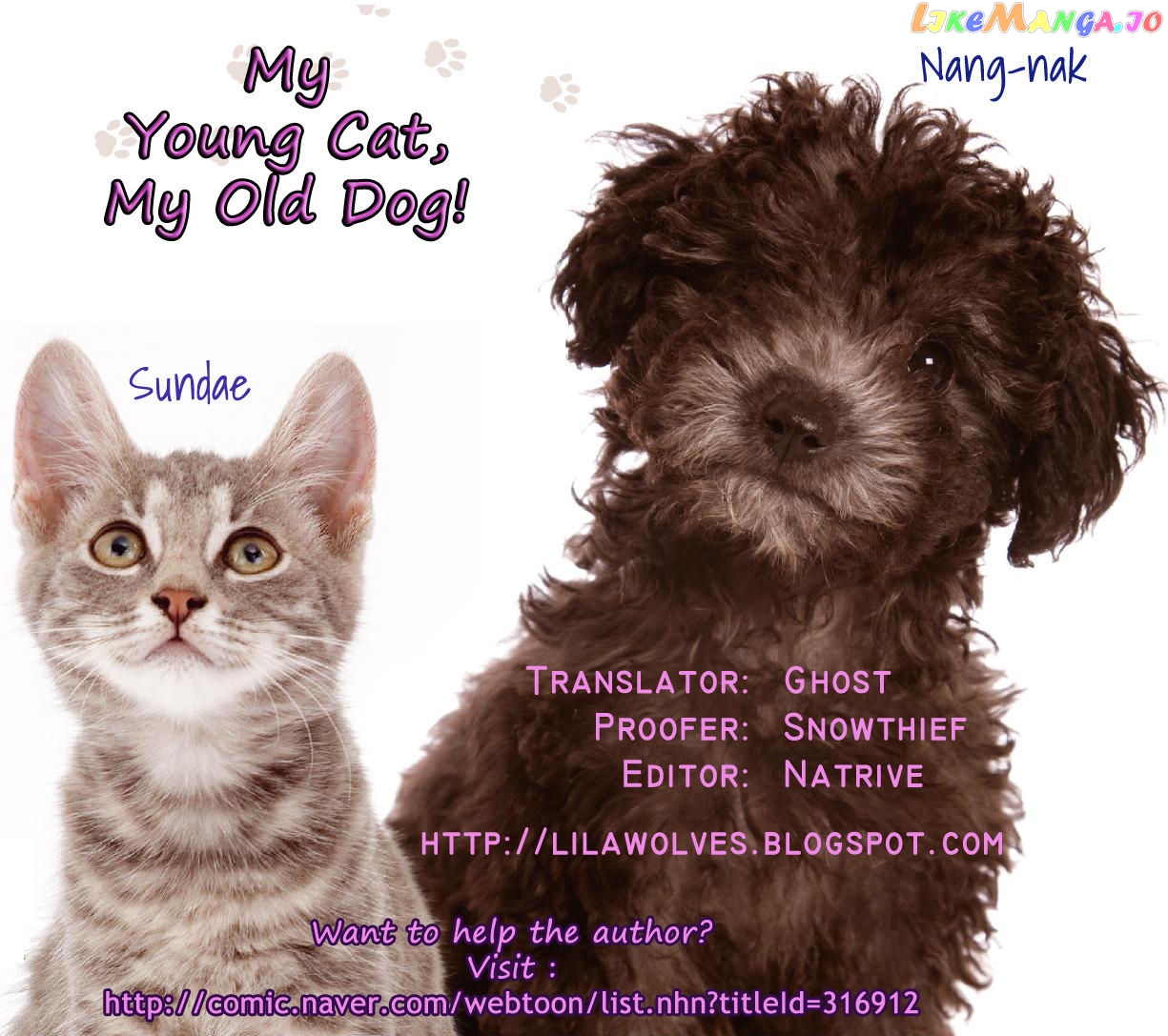 My Young Cat And My Old Dog chapter 40 - page 4