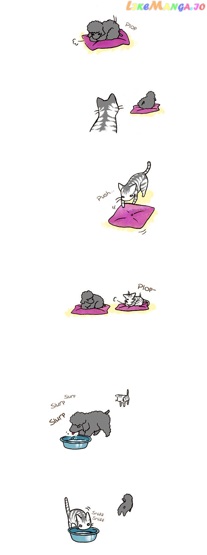 My Young Cat And My Old Dog chapter 41 - page 2