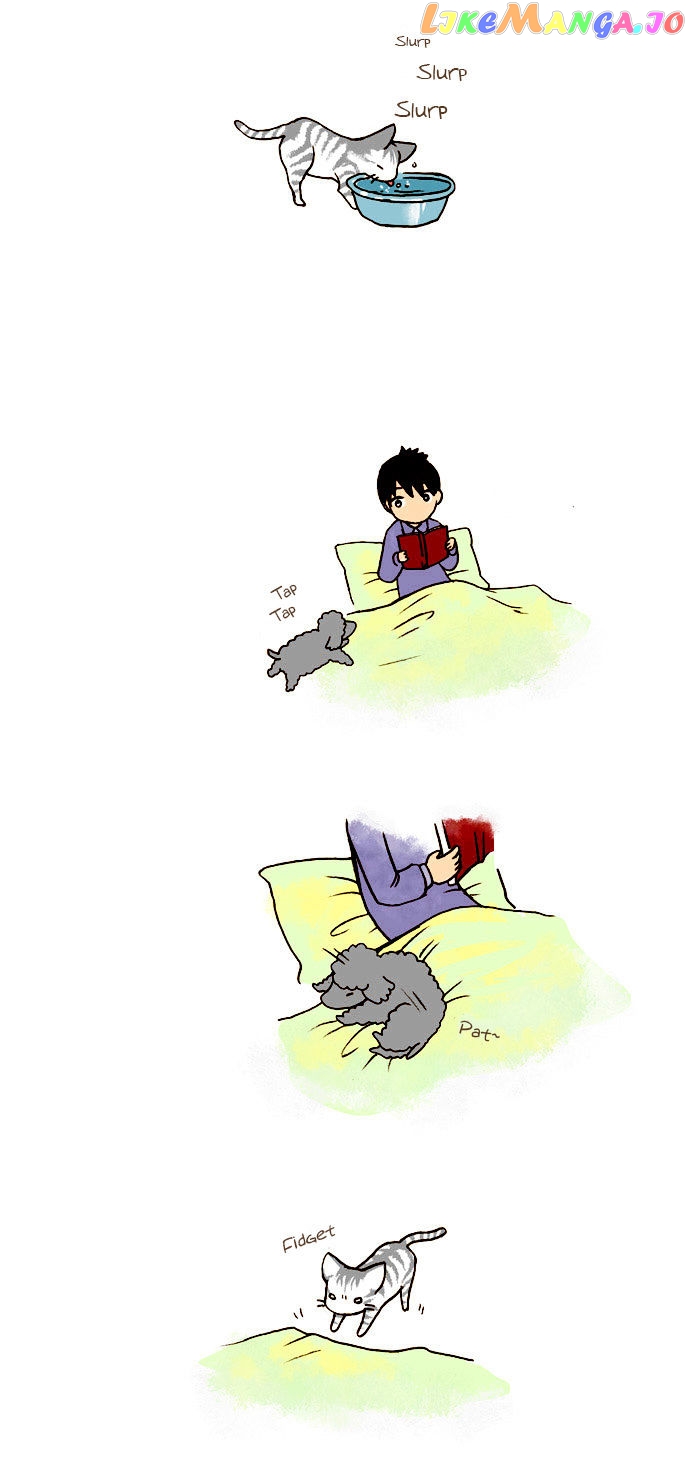 My Young Cat And My Old Dog chapter 41 - page 3