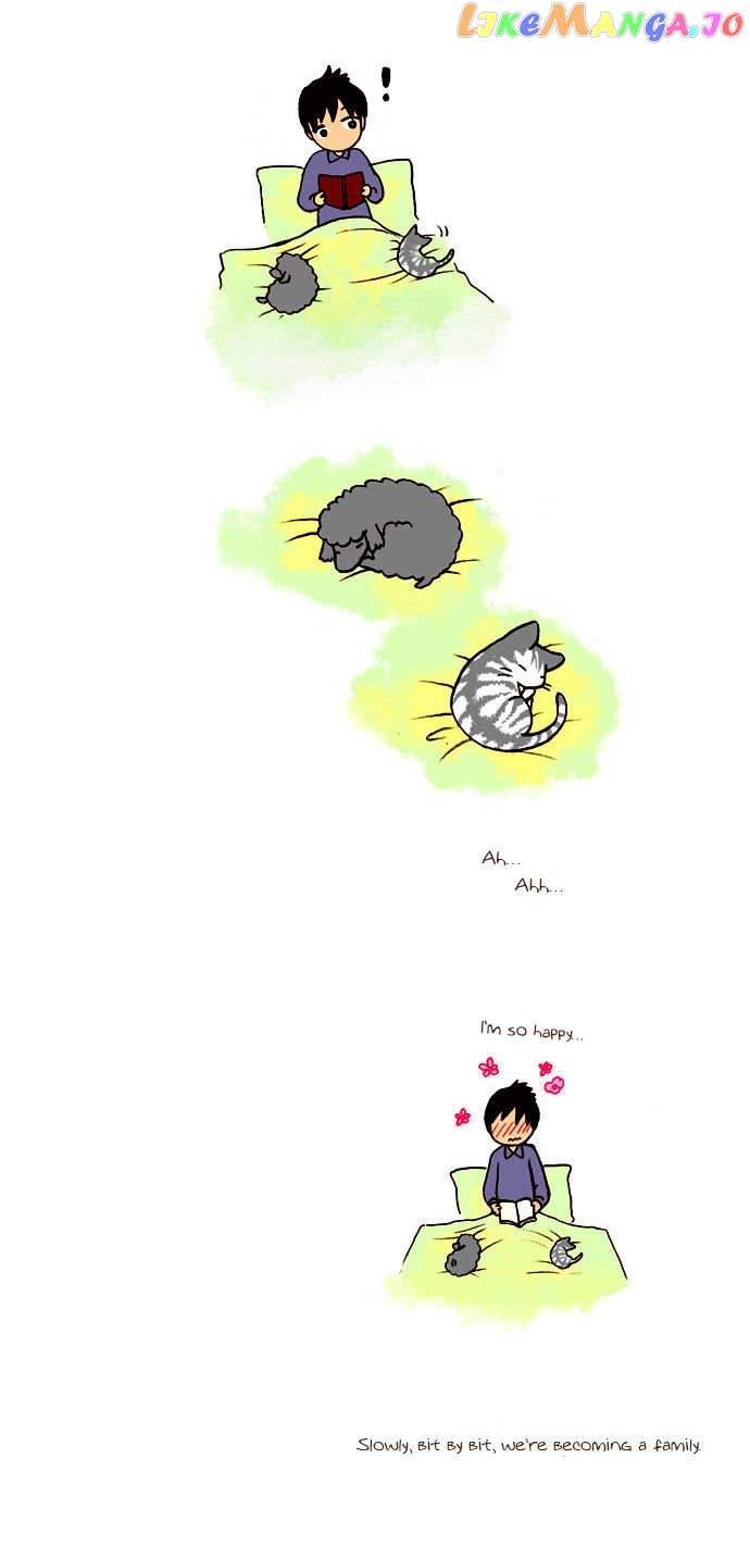 My Young Cat And My Old Dog chapter 41 - page 4
