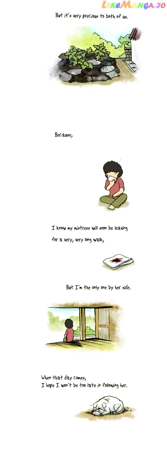 My Young Cat And My Old Dog chapter 42 - page 3