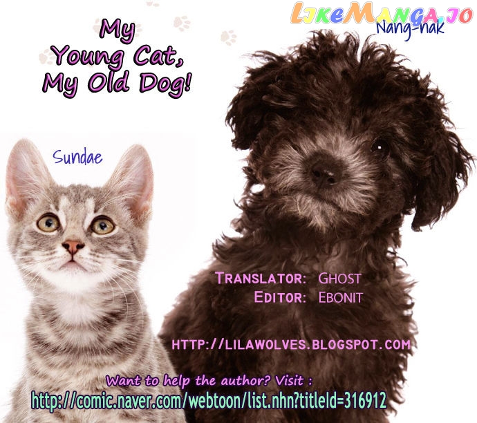 My Young Cat And My Old Dog chapter 42 - page 4