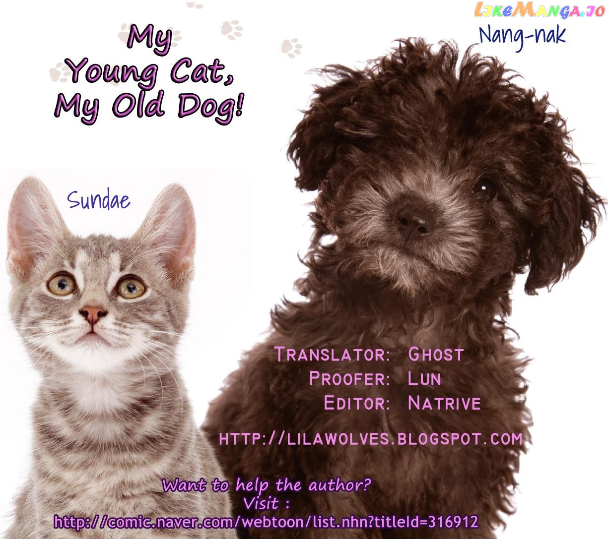 My Young Cat And My Old Dog chapter 48 - page 5