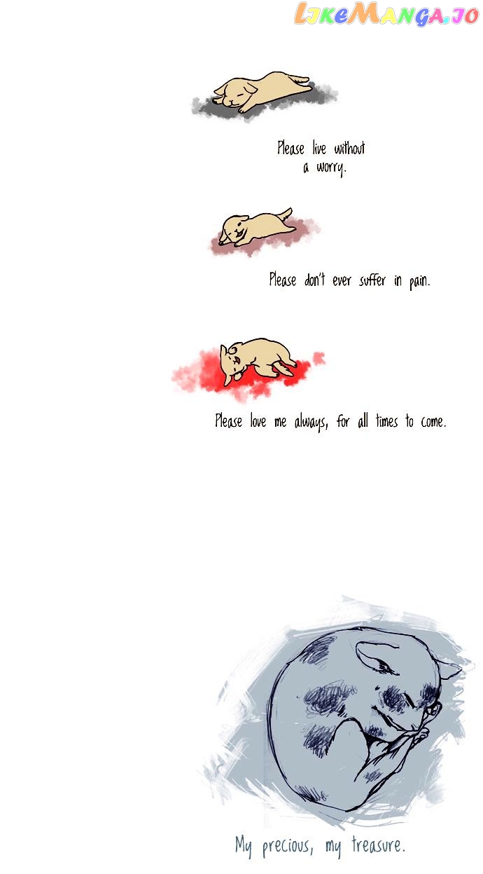My Young Cat And My Old Dog chapter 49 - page 4