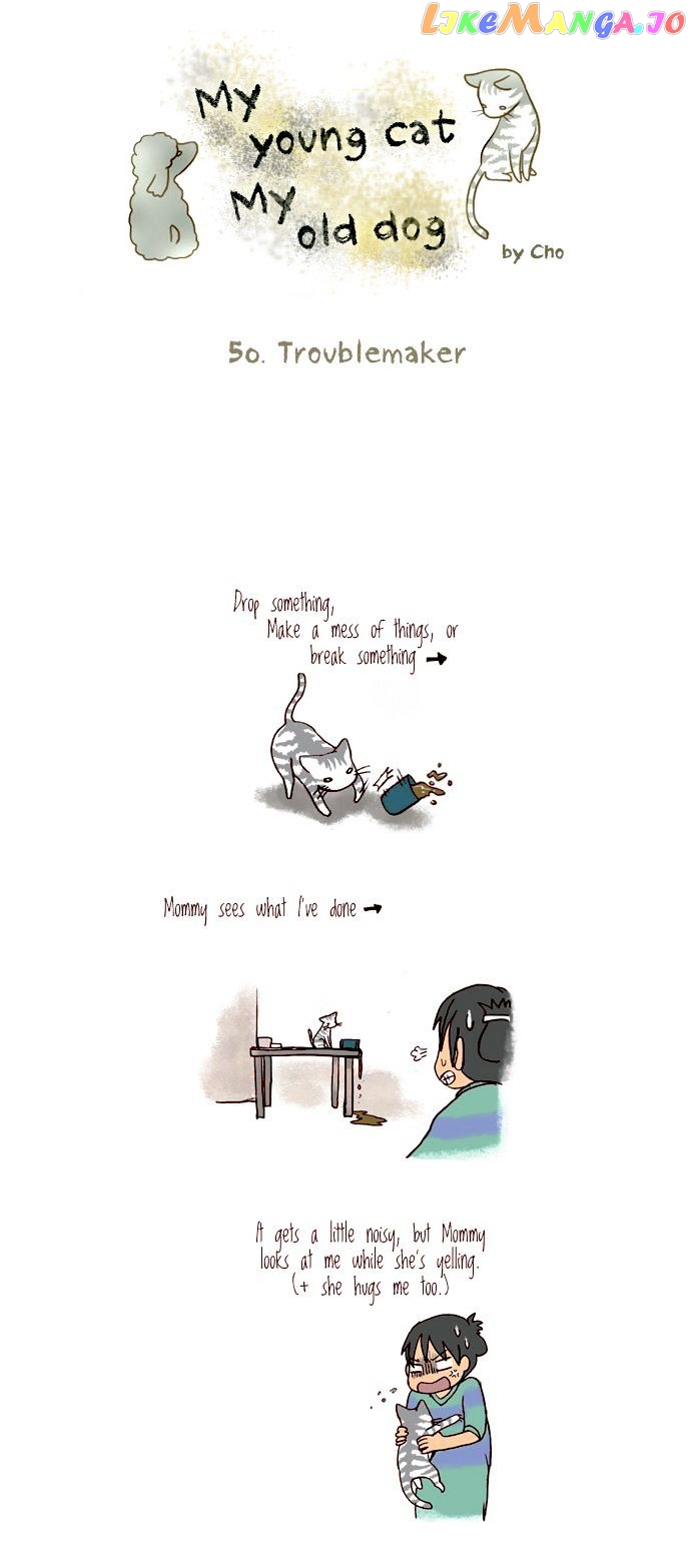 My Young Cat And My Old Dog chapter 50 - page 1
