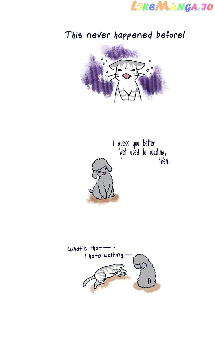 My Young Cat And My Old Dog chapter 58 - page 3